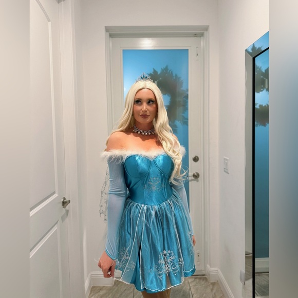 Elsa Costume - Picture 5 of 6